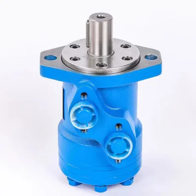 Engineering Machinery High Pressure High Torque 24v 1.2kw Hydraulic Motor Small Hydraulic Gear Motor
