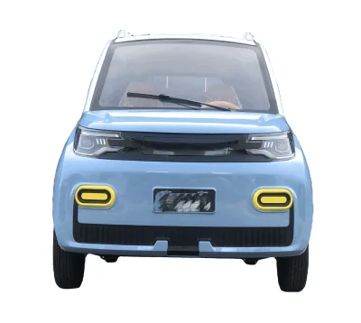 Luxury Adults Electric Vehicles Low Cost 1500W Rear Wheel Drive Electric Cars New Energy Product