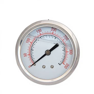 Y-100 Stainless Steel Pressure Gauge 0~60MPa DN150 1.6% Accuracy 1 Year Warranty