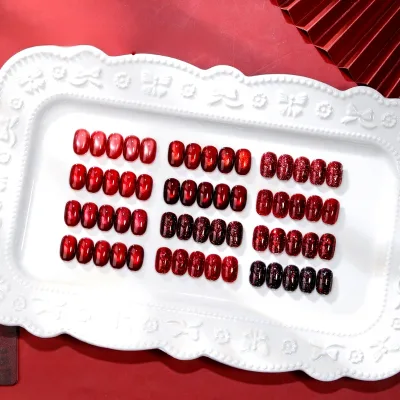 New Year Red 12-color Cat Eye Gel Polish Set with Waterproof Drying Cat Eye Sequins Shade Exclusively for Nail Salons