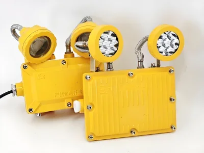BAJ(BCJ) Industrial Explosion Proof Emergency Light Wall-Mounted Design for Hazardous Areas Reliable Escape Illumination