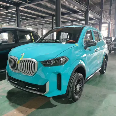 LHD RHD 4 Wheels Electric Car 3500w 195*14'' Aluminum Tire Voice Interconnection 500km Custom Speed New Energy Vehicle for Adult