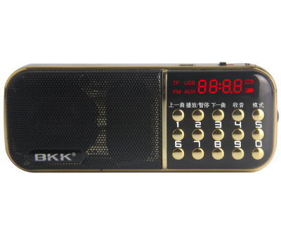 BKK FM Radio Portable Radio With Subwoofer