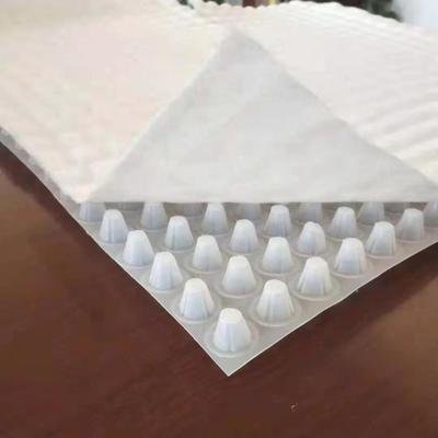 China HDPE Composite Drain High Polystyrene Drainage Plastic Drainage Board
