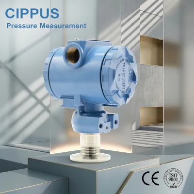 CIPPU S316L Sanitary Flush Diaphragm Tri Clamp Pressure Transmitter for Beverage Food Pharma Pressure Sensor