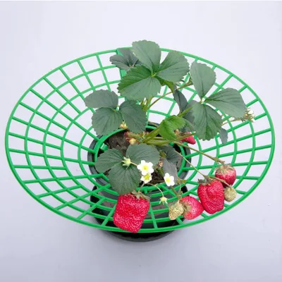 Strawberry Supports,Stand Handy Strawberries Growing Removable Keep Plant Off Rot in the Rainy Days