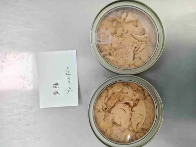 Canned Tuna Solid Chunks/Flakes | in Vegetable Oil, High Protein, Ready-to-Eat, for HORECA & Retail Bulk