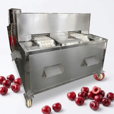 Double-track Longan Date Jujube Pitting De-stoning Machine for Mixed Stone Fruit Processing Factory