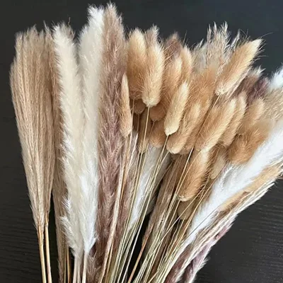 Fluffy Pampas Dried Flowers Bouquet Home Decor Natural Bunny Rabbit Tail Grass Artificial Flower Wedding Party Decoration