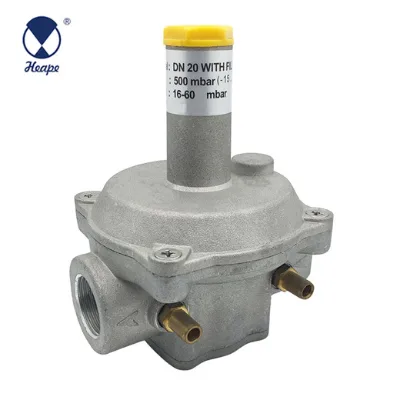 Natural Gas Regulator