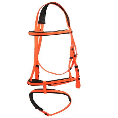 Blaze Orange English Saddle Horse Bridle with Dual Nylon Nosebands for Horse Racing for Horse Riding