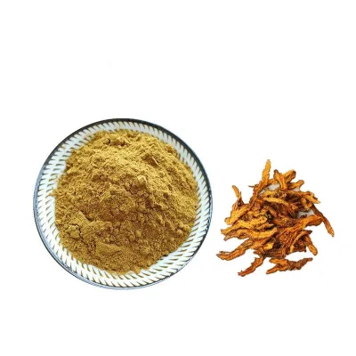 Wholesale Bulk Coptis Chinensis Extract Powder 97% Berberine HCL Powder
