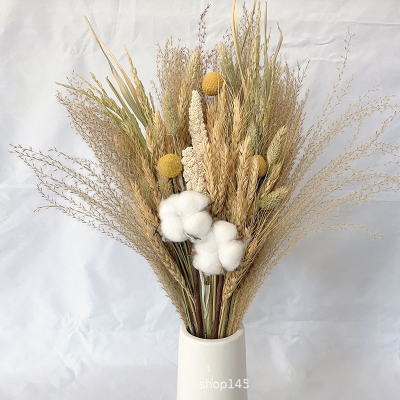 Natural Flower Reed Grass Flower Arrangement Dried Flowers Plant Bouquet Decoration