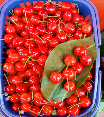 Wholesale New Crop Factory Direct Export Red Frozen Cherries