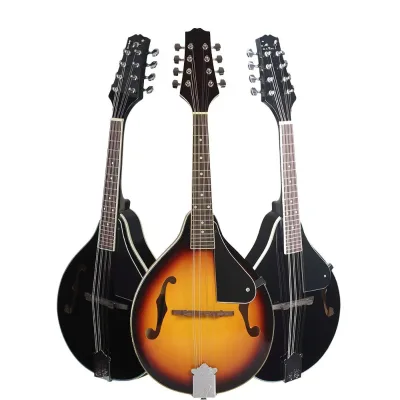 Tibetan Folk Mandolins and Eight-String Guitars-Western Musical Instruments