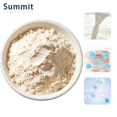 Premium Quality Food Grade Lactase Enzyme Powder CAS 9031-11-2 Dietary Supplement 100,000 ALU/G Lactose Intolerance Summit Brand