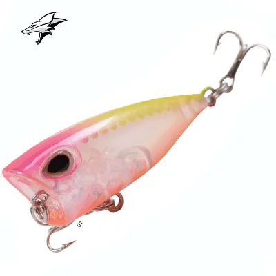 Plastic Popper Lure Floating Saltwater Hard Bass Bait Topwater Wobblers Fishing Lures China
