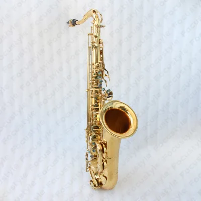 High End Student Level Saxophone Tenor Saksofon Classical Style Gold Silver Brush Colored Tenor Saxophone With Case