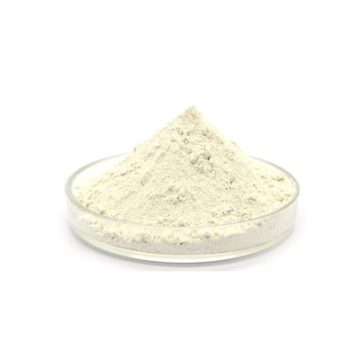 Wholesale Price Fungal A-amylase 70% Bulk CAS 9000-90-2 Food Grade Alpha Amylase Fungal Amylase