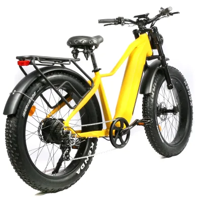 1000W 750W Dual Motor Sport E Electric Bike MTB Electric Bicycles Bike with New Style Front Fork