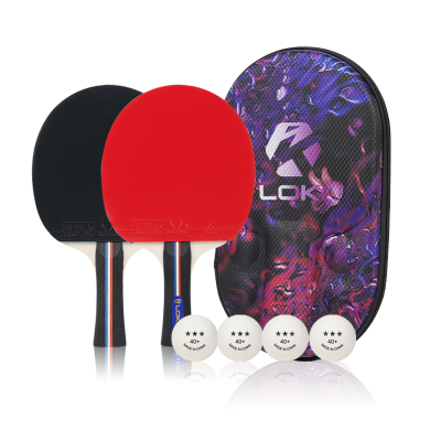 Pingpong Factory Portable Table Tennis Set 2 Rackets 4 Balls ITTF Approved Ping Pong Paddles Rubber with Hard Case