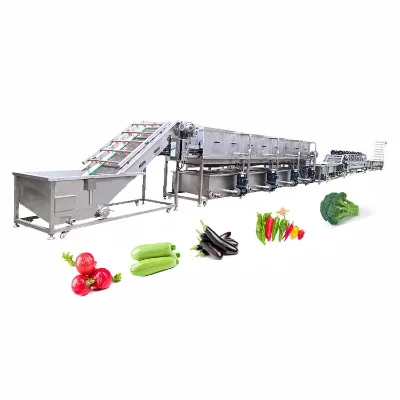 Stainless Steel Fruit Processing Line - Washing Sorting Packaging Integration for Export Quality