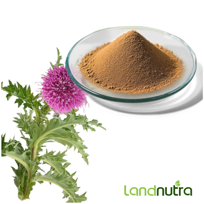 Food Grade Nutritional Supplement Milk Thistle Powder Liposomal Milk Thistle