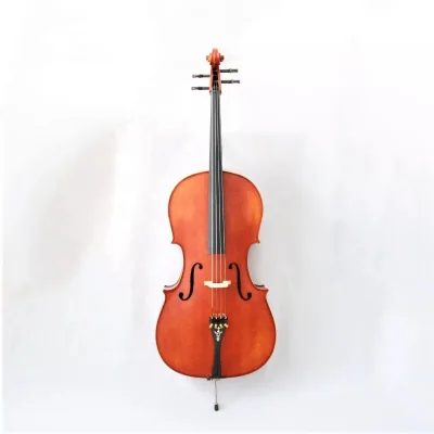 Professional Natural Color Flame Maple Back & Side Spruce Top Matte Surface Cello Foustyle FCE-800 Performance