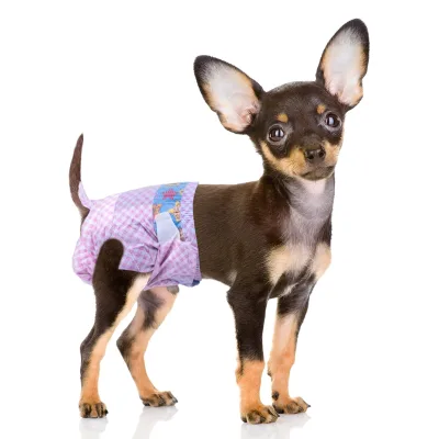 Disposable Dog Diapers for Puppy Use Super Absorbent Breathable Adjustable Elastic Waist Heat Incontinence Moisture Pad