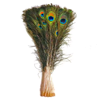 Natural Peacock Feathers - Real for Home Vase Decor