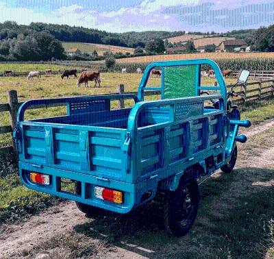Chinese Manufacturer 3-Wheel Bike 800W Motor CE Long Range 600kg Paylod Cargo Trike Electric Tricycle 1.5*1m Cargo Box