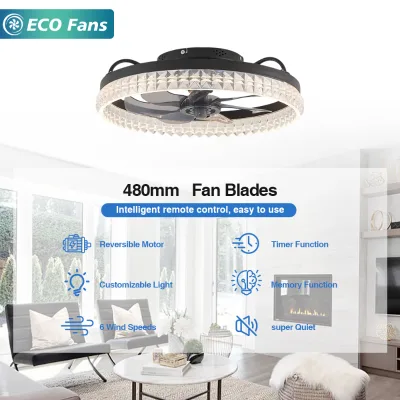 480mm Decorative Ceiling Fan Light,DC Motor,6 Wind Speed,Reversible,Dimmable,Remote,Custom,Factory Audit&Support Your Project