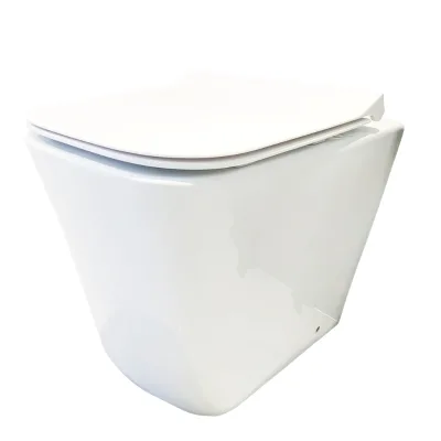 Water Closet Comfortable height Back To Wall Rimless Ceramic toilets