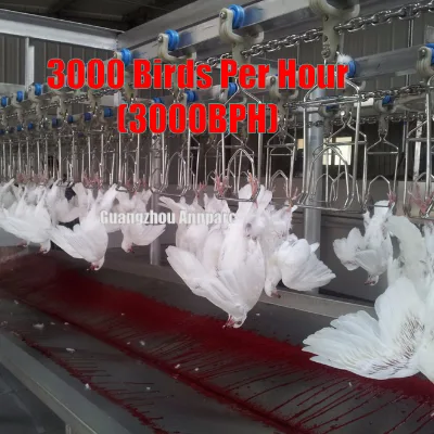 New Heavy Duty SUS304 Continuous Poultry Plucker 3000BPH Automatic Chicken Feather Removal Machine Farm Use Low Noise Motor