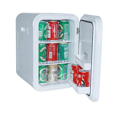 Portable Thermoelectric Cooler Warmer Electric Cosmetic Makeup Car Home Mini Fridge 22L