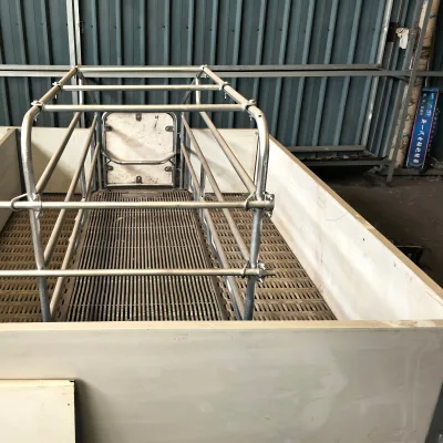 Chinese Factory, Animal Husbandry Equipment, Factory Direct Sale, Pig Birthing Pen, for Pigs, Good Price, High Quality