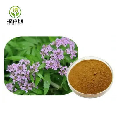Supply Valerian Root Extract Sleeping Valerenic Acid Pure 99% Supplement Valerian Powder