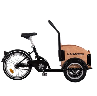 Children Tricycle Bicycle Mini Children Tricycle Cargo Bike Bicycle for Girls and Boys From 3-8 Year Old