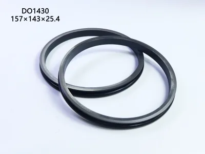 High-Chromium Molybdenum Alloy DF-Type Rectangular Rubber Ring Floating Seal