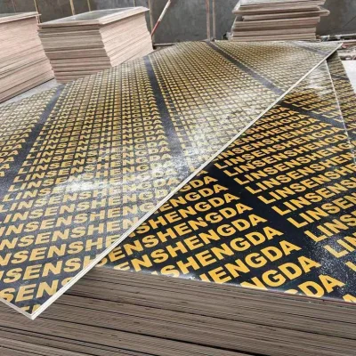 Cheap Price Black Film Face Birch Material Board for Template Use Construction Plywood