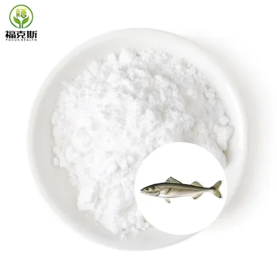 Bulk Fish Cartilage Powders Marine Cartilage Powder Fish Cartilage Extracts