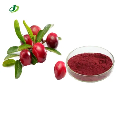 Wild Natural Vaccinium Macrocarpon Cranberry Extract Powder 10:1 25% Proanthocyanidin (PAC) Drum Vacuum Packed High Grade