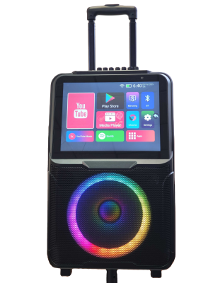 SA8908 Altavoz De Karaoke Professional Karaoke Machine Altavoz De Karaoke Con Pantallas Backpack Bluetooh Speaker with Karaoke