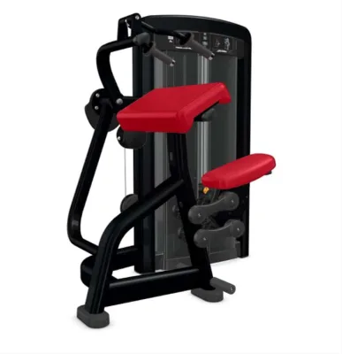 China Factory Selectorized Commercial Triceps Extension Machine Gym Strength Equipment