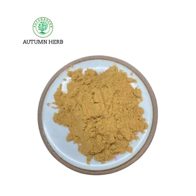 Hot Sale Seabuckthorn Flavone Sea-buckthorn Fruit Extract Sea Buckthorn Extract