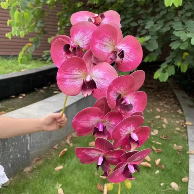 Hot Pink Orchid 9 Heads Phalaenopsis Orchid Artificial Flower for Wedding Home Decor