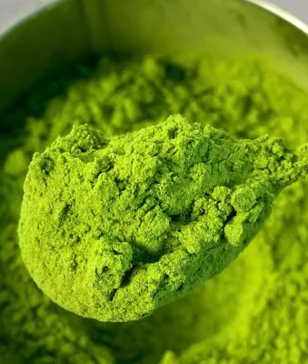 100% Pure Organic Matcha - Triple A/Double a Standard, High Quality, Factory Direct for Milk Tea & Latte