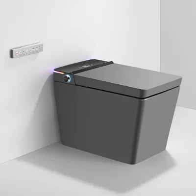 Luxury Self-Cleaning S-Trap Floor Mounted One-Piece Smart Toilet with Stainless Nozzle & LED Display