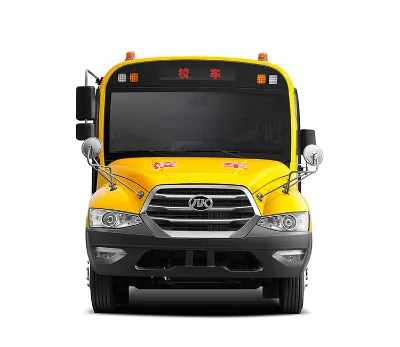 Luxury Mini Anka School Bus for Kids LHD Steering Automatic Transmission on Sale