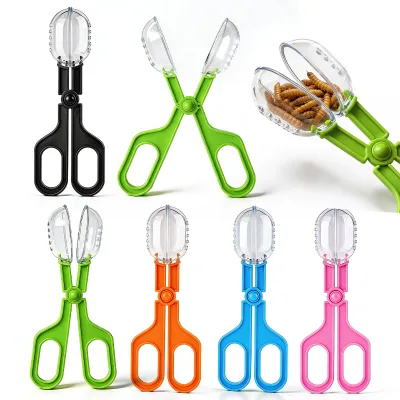 Insect scissors and tweezers, insect catcher, insect tweezers, scissors tweezers, shell picking tweezers, reptile tweezers